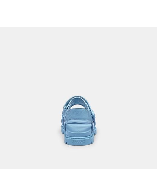 COACH Blue Brynn Sandal