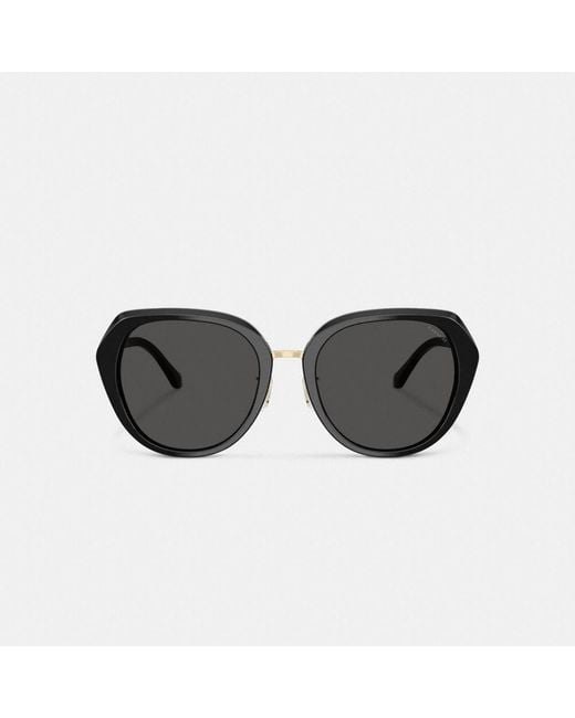 COACH Black Hc8436 Sunglasses