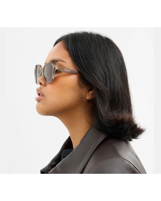 COACH Multicolor Oval Square Sunglasses