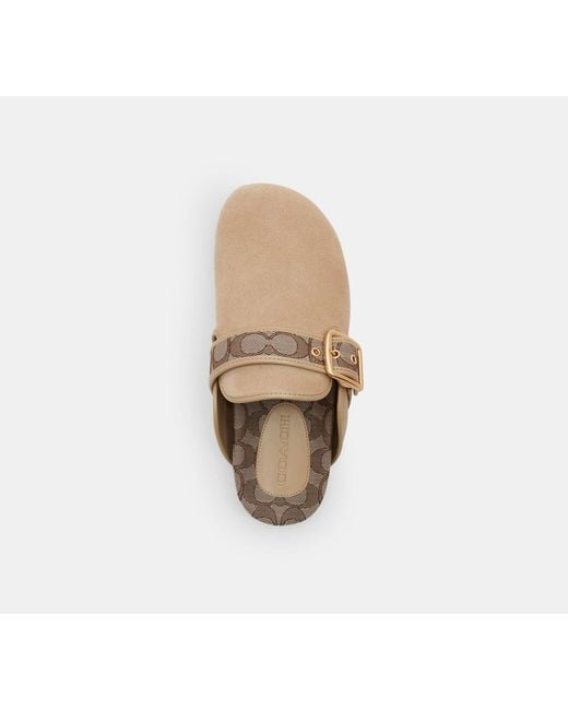 COACH Black Archival Buckle Clog