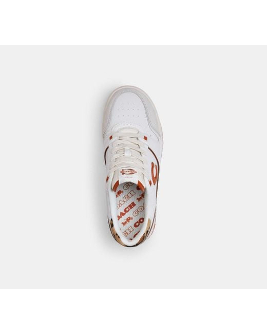 COACH Black Soho Sneaker