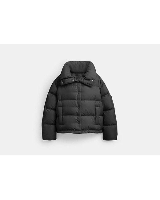 COACH Black Short Puffer Jacket