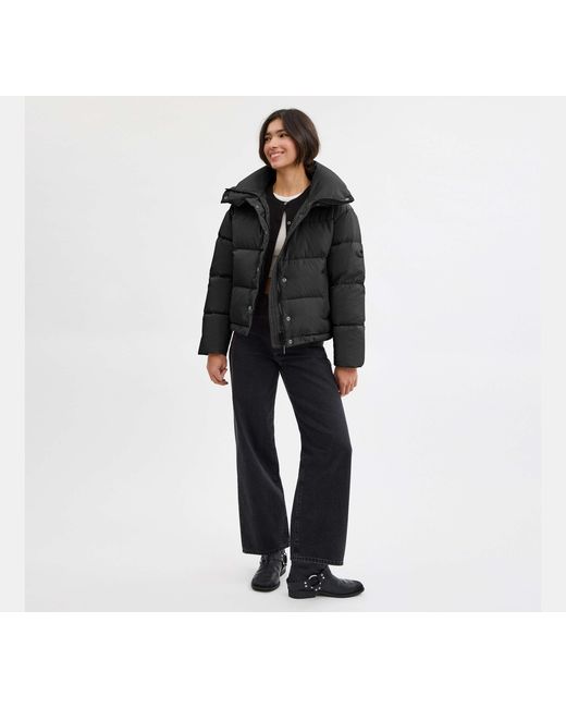 COACH Black Short Puffer Jacket