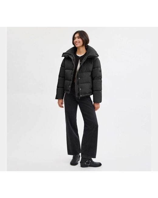 Chaqueta acolchada corta de poliéster reciclado COACH de color Black