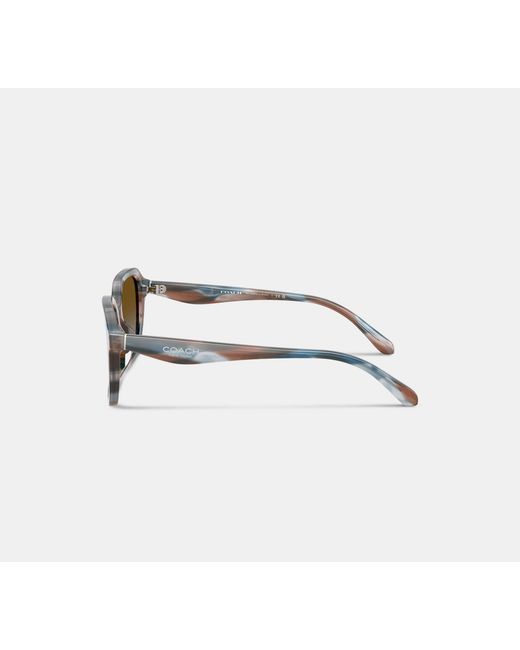 COACH Multicolor Oval Square Sunglasses