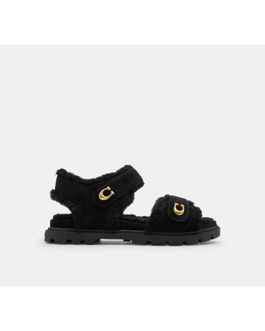 COACH Black Brynn Sandal
