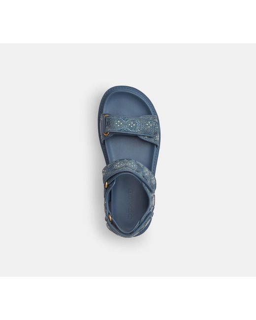 COACH Blue Brynn Sandal