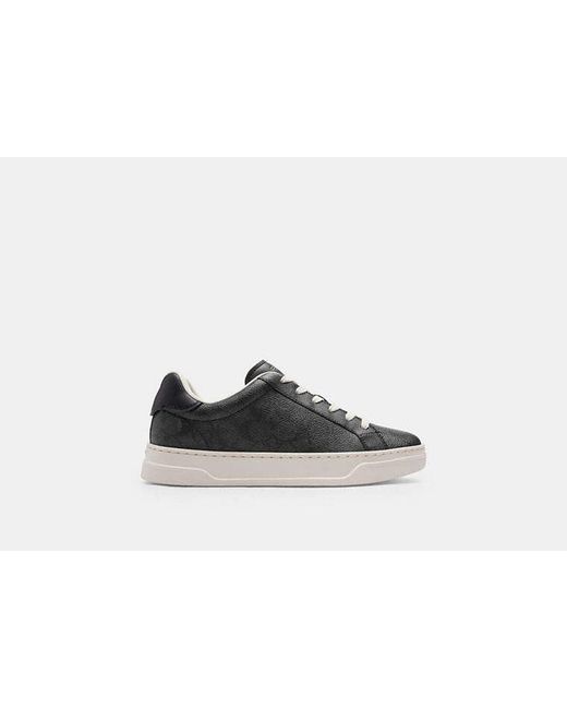 COACH Black High Line Sneakers