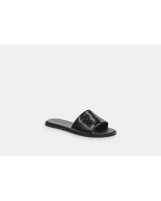 COACH Black Holly Sandal