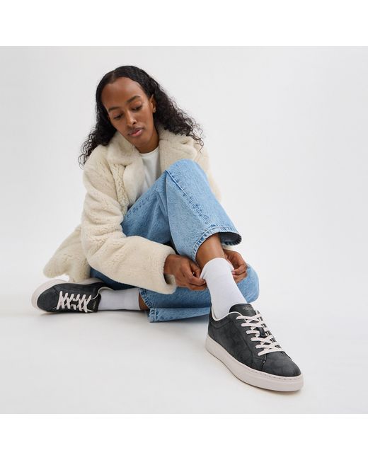 COACH Black High Line Sneakers