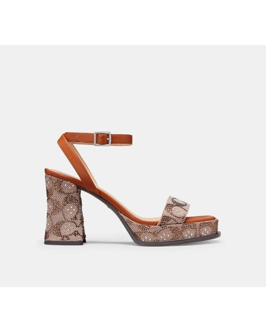 COACH Black Platform Sandal