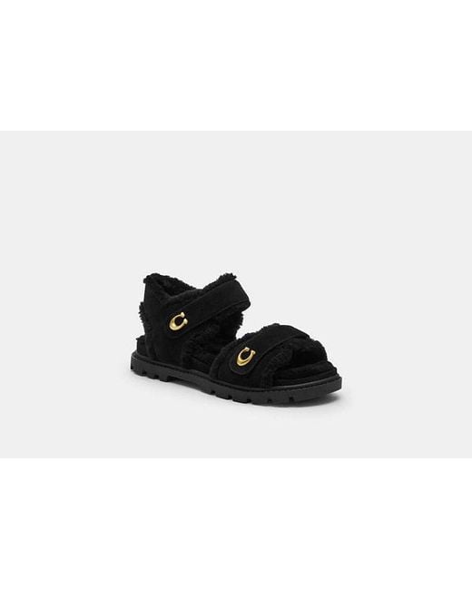 COACH Black Brynn Sandal