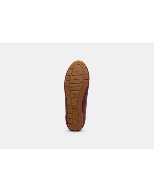 COACH Red Flache Sneaker Für Frauen