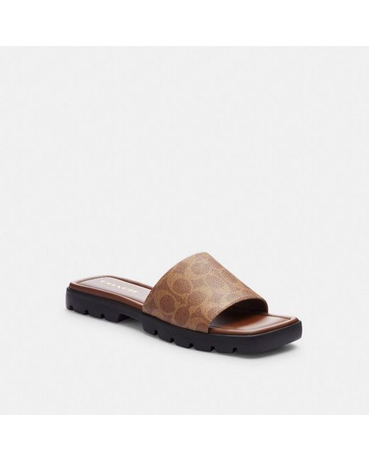 COACH Brown S Florence Sandal In Signature