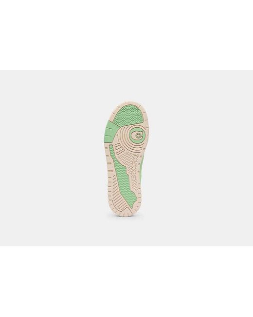 Baskets Soho En Pour Femmes, Taille COACH en coloris Green