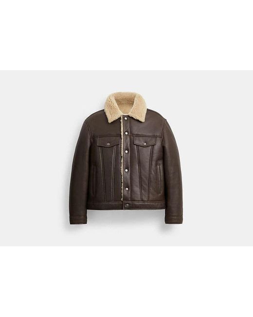 COACH Black Shearling Trucker Jacket for men