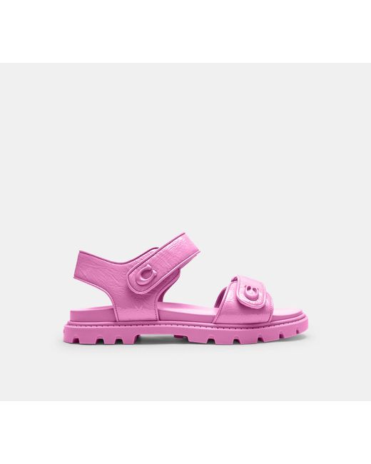 COACH Black Brynn Sandal