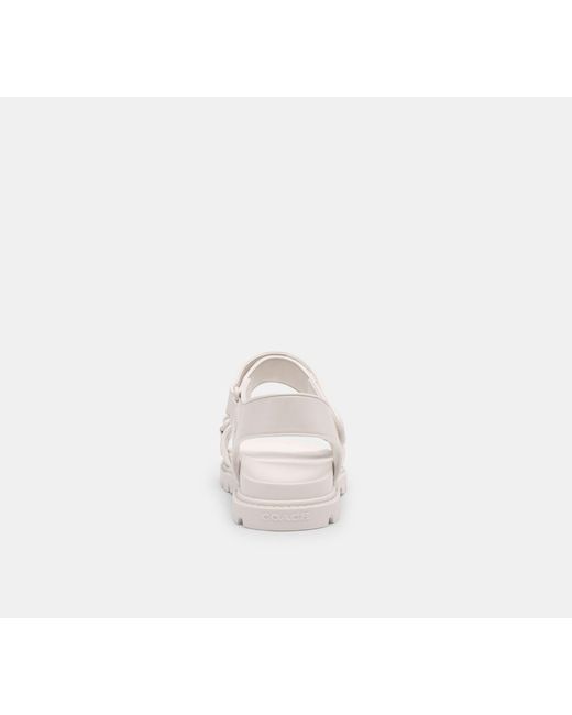 COACH Black Brynn Sandal