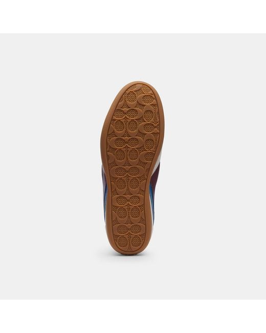 COACH White Track Sneaker