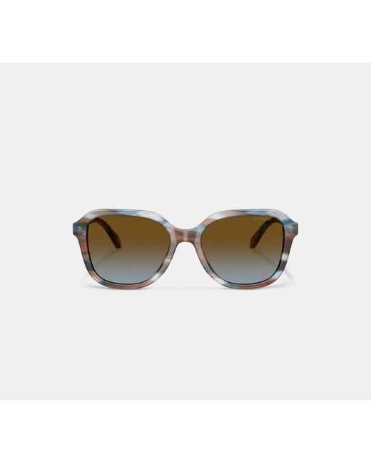 COACH Multicolor Oval Square Sunglasses