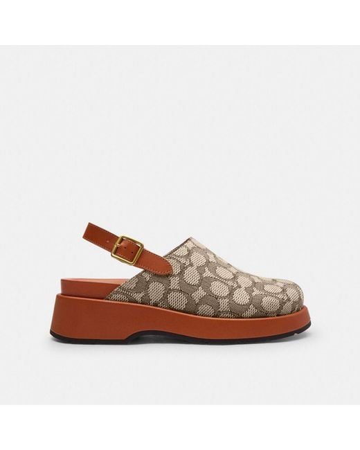 COACH Brown Sculpted C Platform Clog In Signature Textile Jacquard