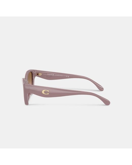COACH Brown C Hardware Square Cat Eye Sunglasses