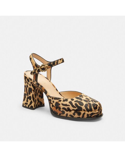 COACH Metallic Tea Rose Pump With Leopard Print