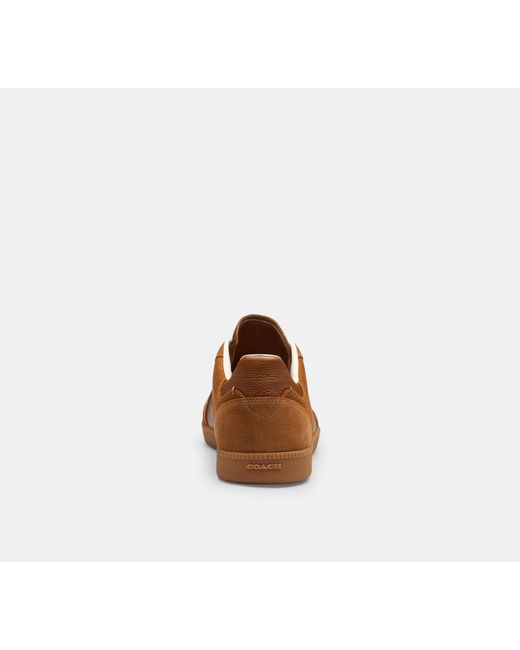 COACH Brown Ellis Sneaker for men