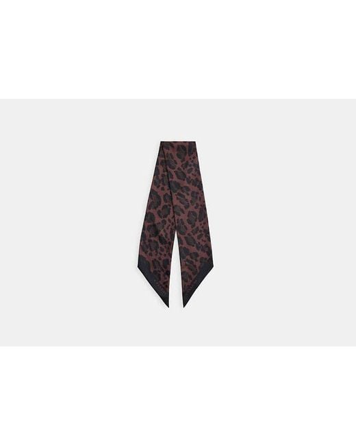 Sciarpa Sottile Ampia di COACH in Black