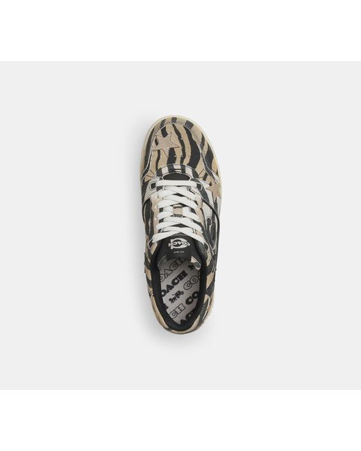 COACH Multicolor Soho Sneaker With Stars