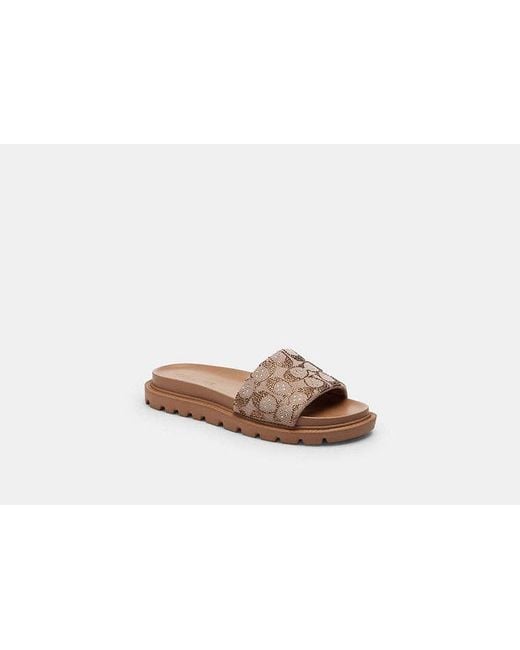 COACH Black Brynn Slide Sandal