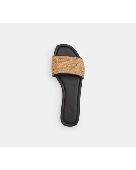 COACH Black Slide Sandal