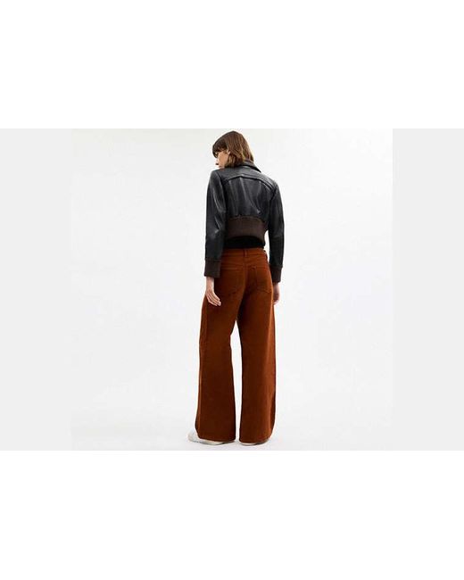 Pantalones De Molesquín COACH de color Black