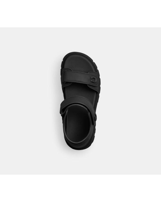 COACH Black Brynn Platform Sandal