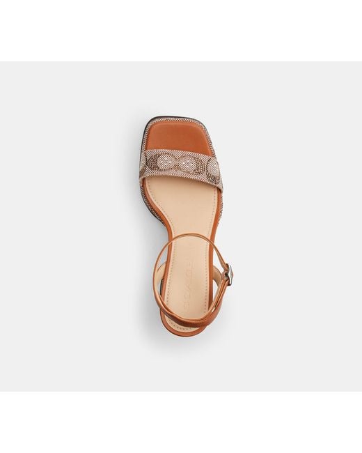 COACH Black Platform Sandal
