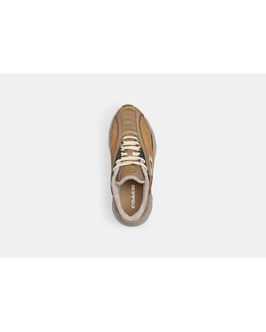 COACH Black Bolt Runner Sneaker Für Frauen