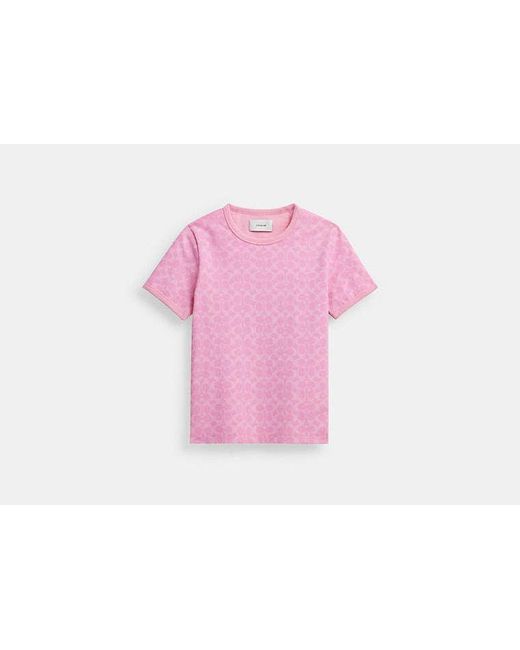 COACH Pink Signature Ringer T Shirt In Organic Cotton