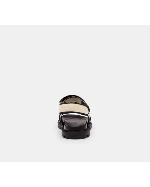 COACH Black Brynn Sandal