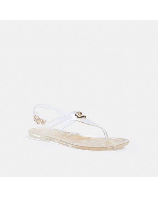 coach tea rose jelly sandals