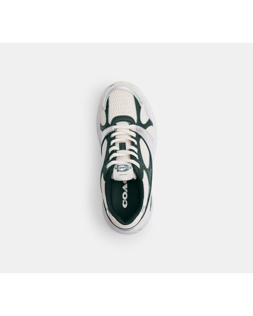 Scarpa Da Ginnastica Sport di COACH in Black