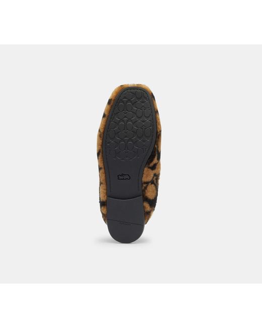 COACH Black Slipper