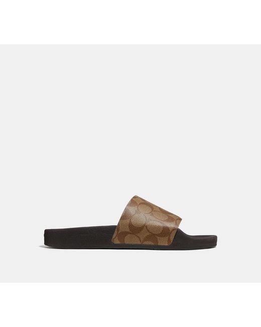 COACH Black Slide for men
