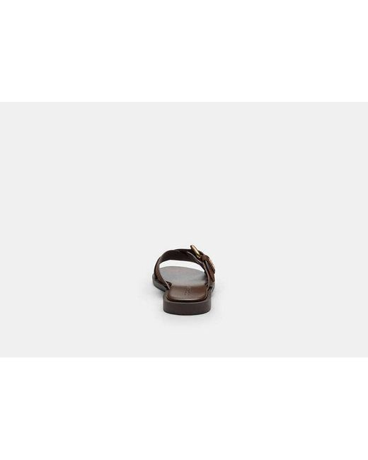 COACH Black Crisscross Buckle Sandal