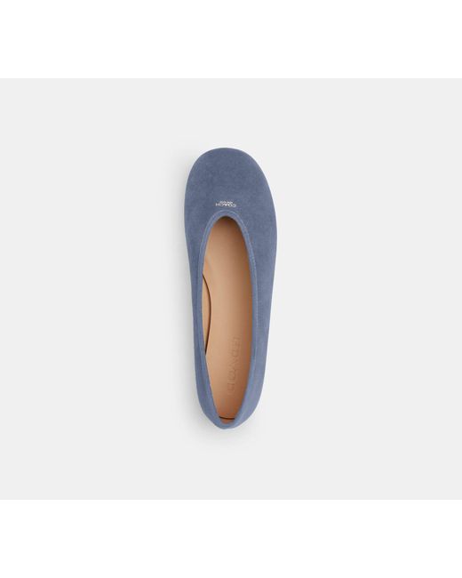 COACH Blue Suede Ballerinas 'Houston'