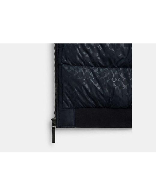 COACH Blue Down Zip Hoodie for men