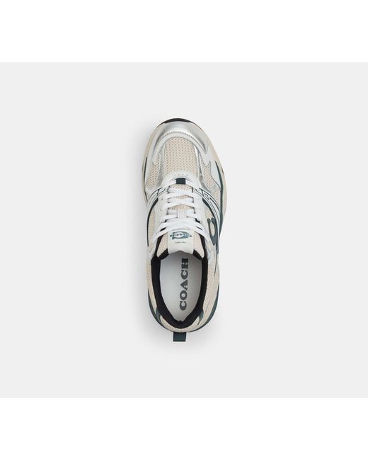 COACH Black Mesh Sneaker