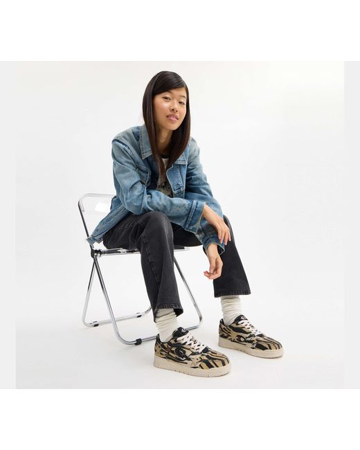 COACH Multicolor Soho Sneaker With Stars