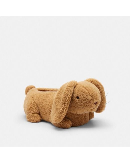 COACH Brown Bunny Slipper