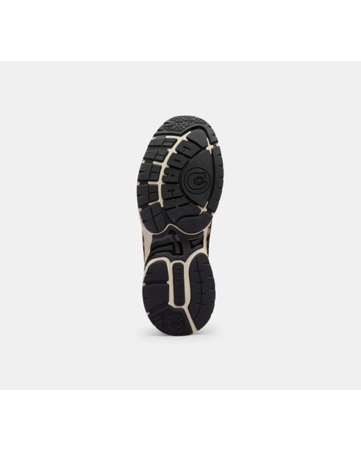 Scarpa Da Ginnastica Sport Con Stampa Leopardata di COACH in Black