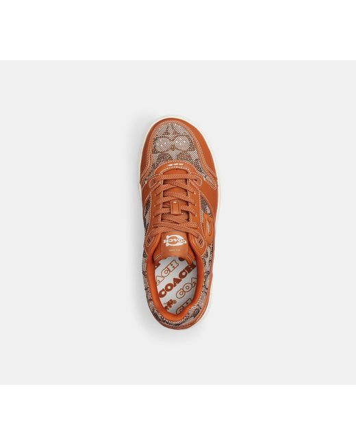 COACH Black Soho Sneaker